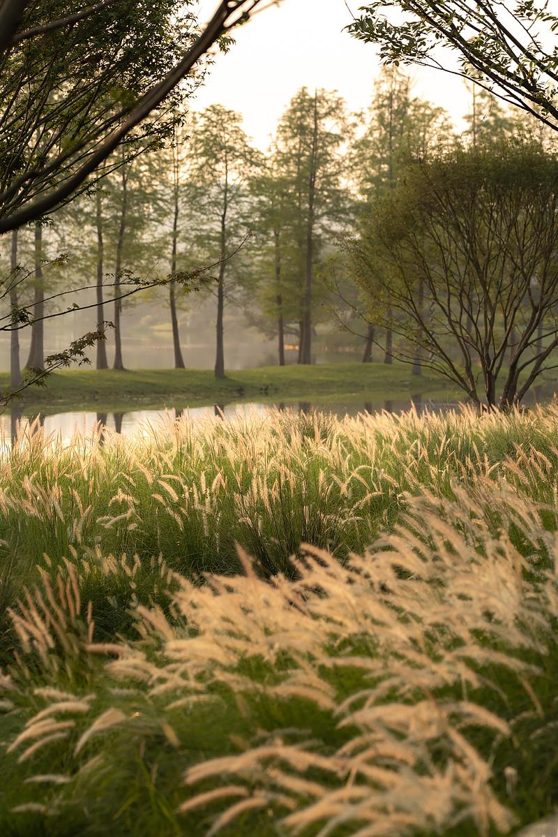 Press kit | 7844-01 - Press release | Luxelakes C7 South Golden Bay Model Island - Chengdu MaiWei Landscape Architecture Studio - Landscape Architecture - Photo credit:  PrismImage 