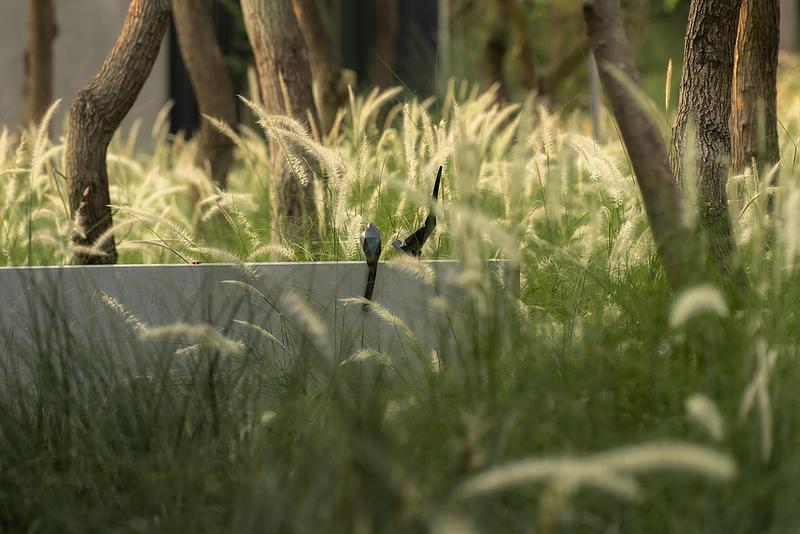 Press kit | 7844-01 - Press release | Luxelakes C7 South Golden Bay Model Island - Chengdu MaiWei Landscape Architecture Studio - Landscape Architecture - Photo credit:  PrismImage 