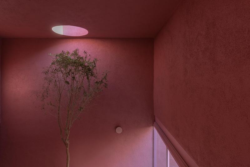 Dossier de presse | 7768-02 - Communiqué de presse | Casa Cardona - Sensacional Dinámica Mexicana - Architecture résidentielle - Crédit photo : LGM Studio