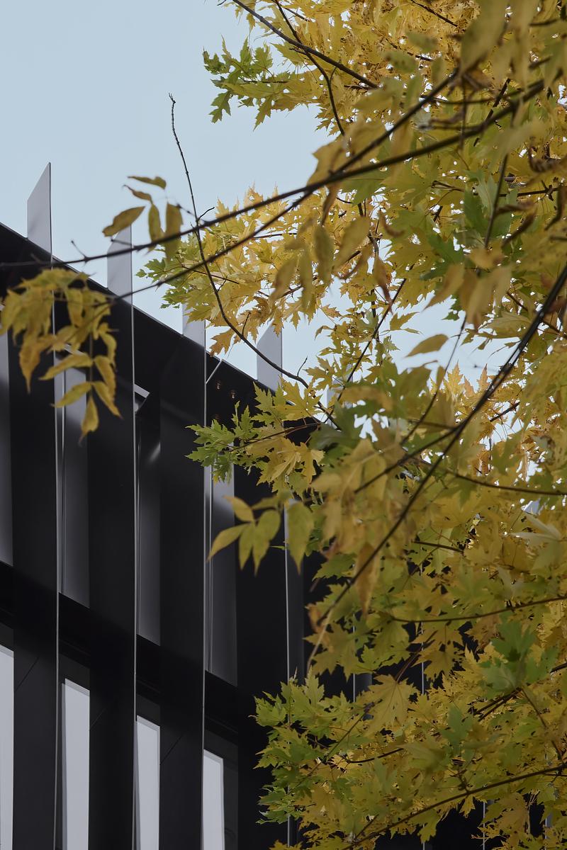 Press kit | 1676-11 - Press release | Living Differently,   without Compromise - ADHOC - Residential Architecture - Photo credit: Maxime Brouillet