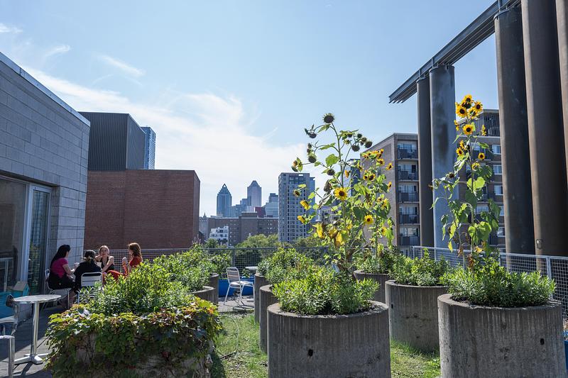 Press kit | 3326-05 - Press release | UQAM’s Pavillon de Design Receives the Royal Architectural Institute of Canada’s Prestigious Prix du XXe siècle - Université du Québec à Montréal - Institutional Architecture -  UQAM’s Pavillon de Design  - Photo credit: Nathalie St-Pierre