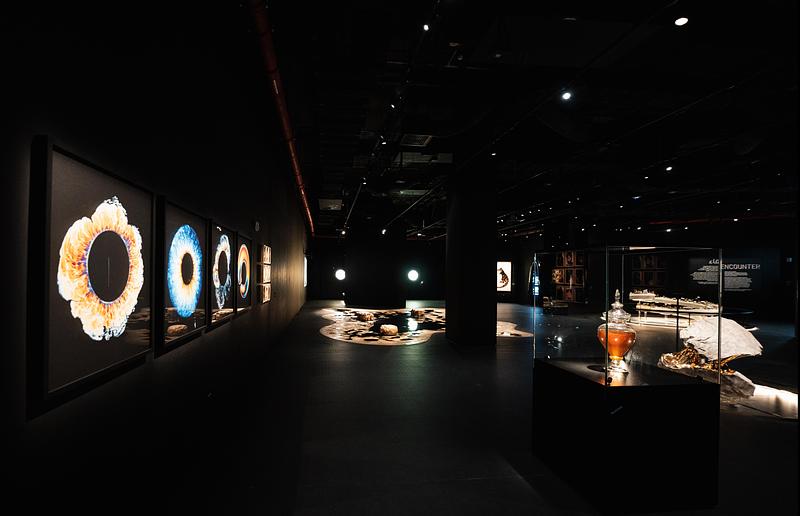 Press kit | 7871-01 - Press release | Black Gold Museum Where Oil Becomes Art - La Méduse - Art - Black Gold Museum, Encounter Section - Photo credit: Black Gold Museum