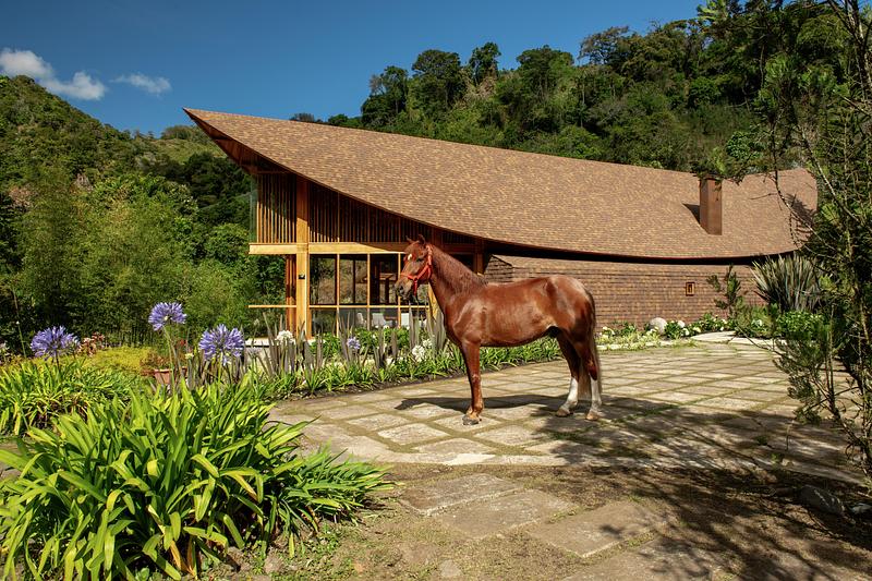 Press kit | 7734-02 - Press release | El Arca - Mallol - Residential Architecture - Photo credit: Alfredo Maiquez