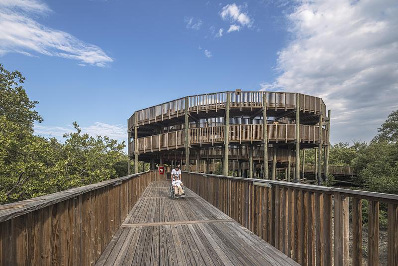 Press kit | 7893-01 - Press release | Ciénaga de Mallorquín Ecopark - DEB Architecture + El Equipo Mazzanti - Urban Design - Photo credit: Alejandro Arango