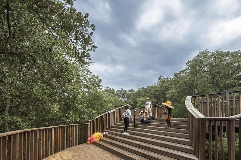 Press kit | 7893-01 - Press release | Ciénaga de Mallorquín Ecopark - DEB Architecture + El Equipo Mazzanti - Urban Design - Photo credit: Alejandro Arango