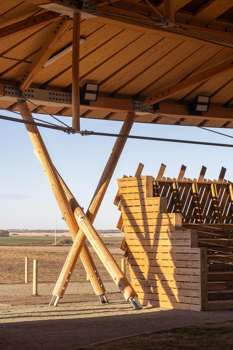 Press kit | 7916-01 - Press release | Rooted in Culture: The Muscowpetung Powwow Arbour Wins Architizer A+ Award and Canada's Governor General’s Medal in Architecture - Oxbow Architecture & Richard Kroeker - Institutional Architecture - <p class="">Interior image of Arbour showing structural round timber tripod</p> - Photo credit: Lindsay Reid<span></span>