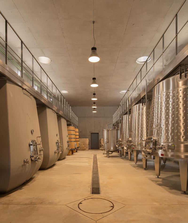 Press kit | 5153-01 - Press release | Quinta de Adorigo Winery - Atelier Sérgio Rebelo - Commercial Architecture - Photo credit: Fernando Guerra