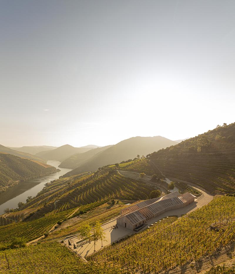 Press kit | 5153-01 - Press release | Quinta de Adorigo Winery - Atelier Sérgio Rebelo - Commercial Architecture - Photo credit: Fernando Guerra