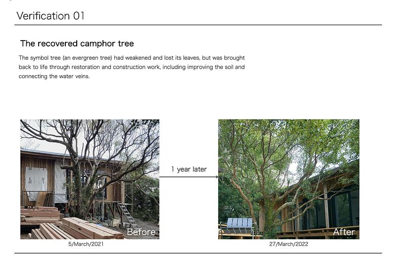 Press kit | 7029-02 - Press release | tono Named the Best in Sustainability Firm at Architizer A+ Awards 2026 - tono Inc. - Commercial Architecture - <p>Tree Recovery</p> - Photo credit: Tsukasa Ono