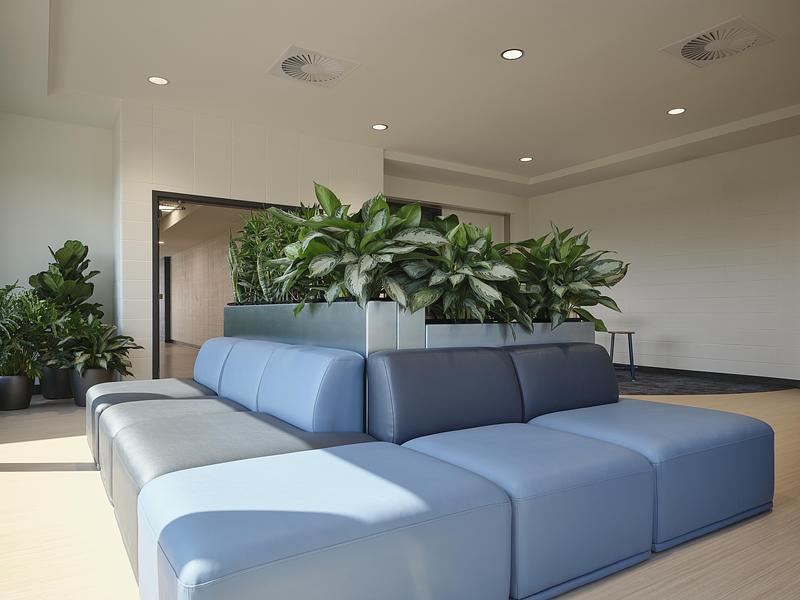 Press kit | 1299-15 - Press release | Externat Sacré-Cœur: When Design Becomes a Teaching Tool - Taktik design - Institutional Architecture - Detail of the custom-made sofas - Photo credit:  Maxime Brouillet 
