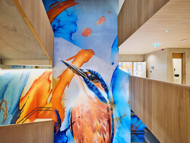 Press kit | 6515-05 - Press release | Ecole Brouch: Primary School - JSWD + Jim Clemes Ass. - Institutional Architecture - Artwork of the Stairwell: Daniel Mac Lloyd - Photo credit: Andres Lejona