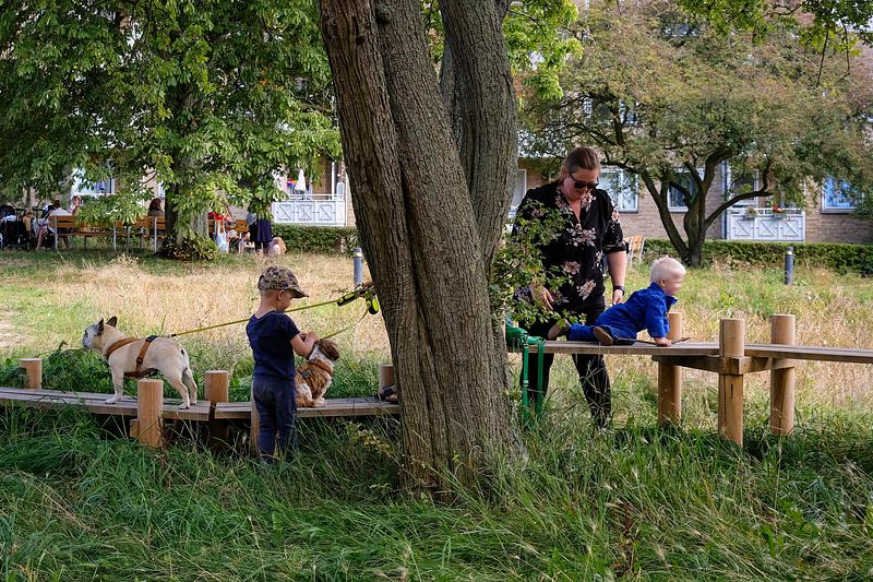 Dossier de presse | 5748-01 - Communiqué de presse | Form follows nature in Copenhagen’s new climate park - SLA - Design urbain - Grønningen-Bispeparken by SLA - Crédit photo : SLA