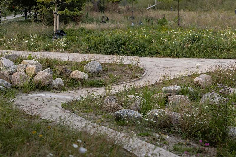 Dossier de presse | 5748-01 - Communiqué de presse | Form follows nature in Copenhagen’s new climate park - SLA - Design urbain - Grønningen-Bispeparken by SLA - Crédit photo : SLA/Mikkel Eye