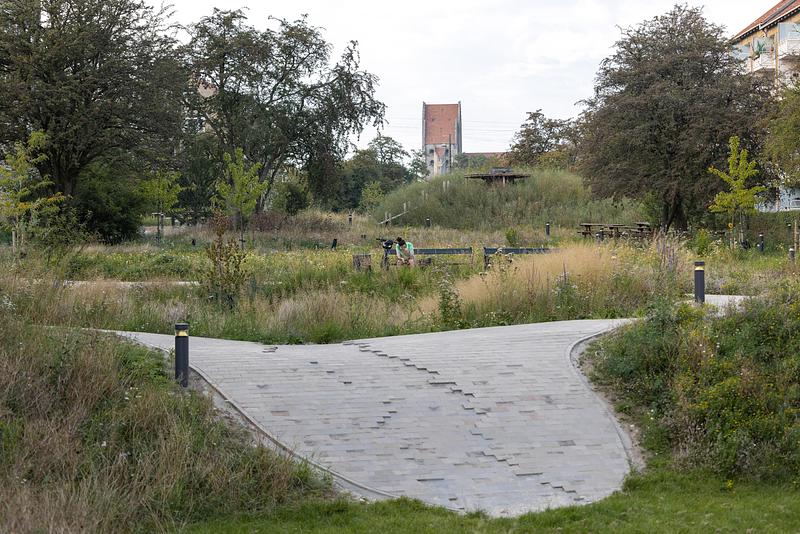 Dossier de presse | 5748-01 - Communiqué de presse | Form follows nature in Copenhagen’s new climate park - SLA - Design urbain - Grønningen-Bispeparken by SLA - Crédit photo : SLA/Mikkel Eye