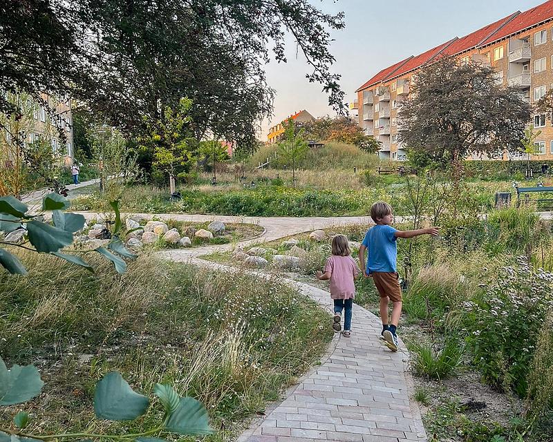 Dossier de presse | 5748-01 - Communiqué de presse | Form follows nature in Copenhagen’s new climate park - SLA - Design urbain - Grønningen-Bispeparken by SLA - Crédit photo : SLA/Marie Damsgaard
