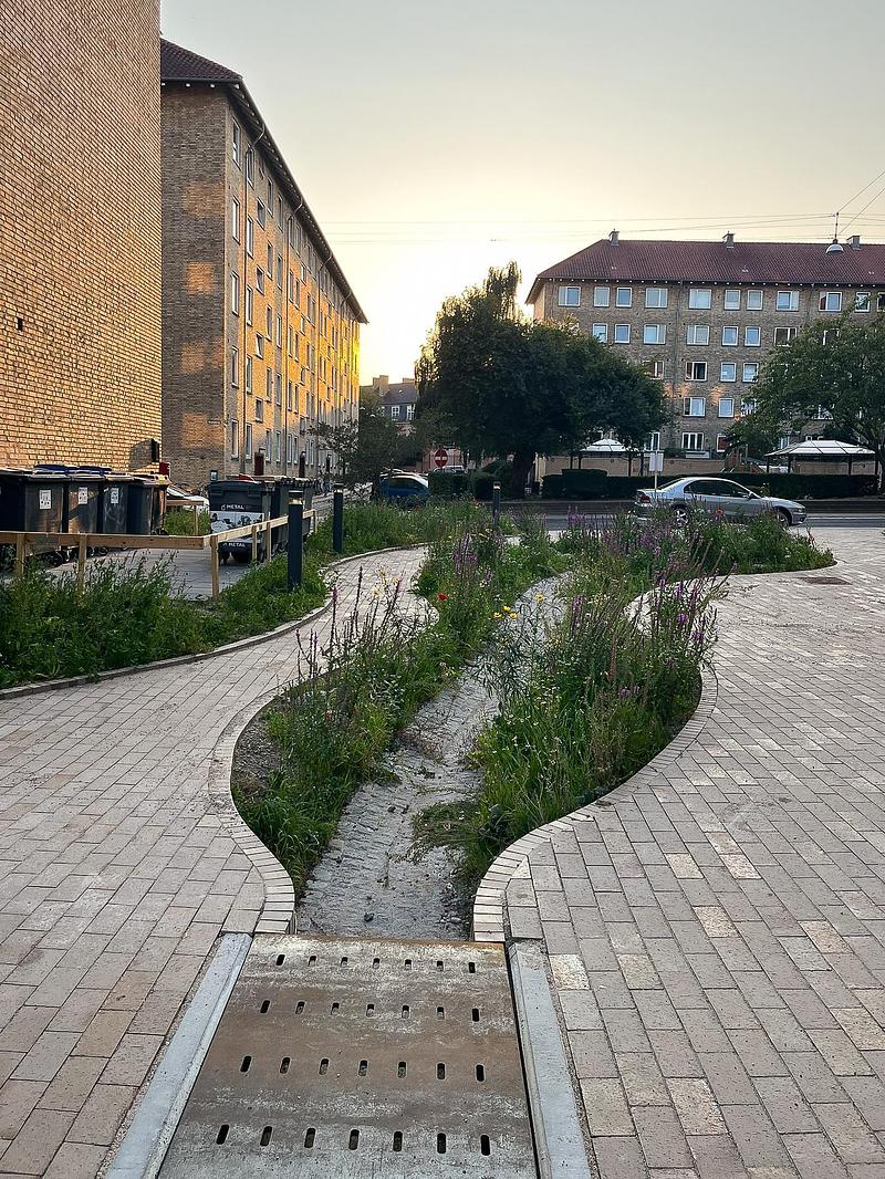 Dossier de presse | 5748-01 - Communiqué de presse | Form follows nature in Copenhagen’s new climate park - SLA - Design urbain - Grønningen-Bispeparken by SLA - Crédit photo : SLA/Mikkel Eye