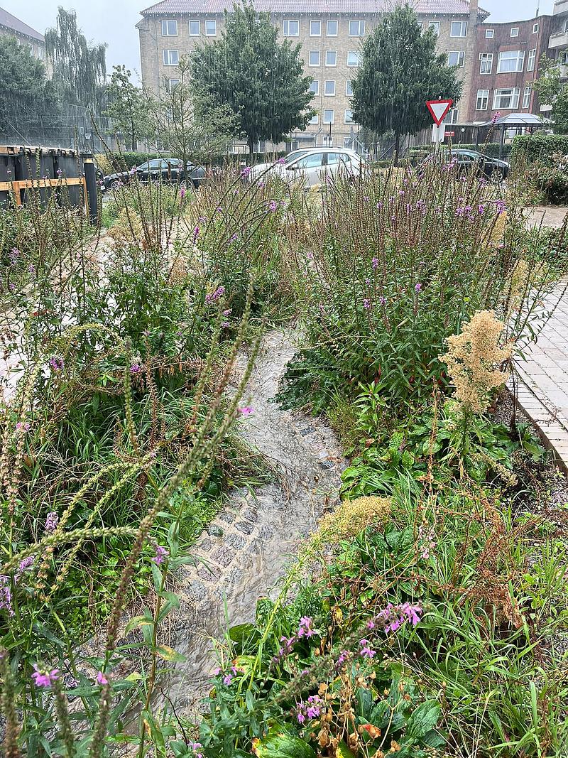 Dossier de presse | 5748-01 - Communiqué de presse | Form follows nature in Copenhagen’s new climate park - SLA - Design urbain - Grønningen-Bispeparken by SLA - Crédit photo : SLA/Marie Damsgaard