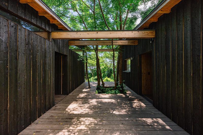 Press kit | 7029-02 - Press release | tono Named the Best in Sustainability Firm at Architizer A+ Awards 2026 - tono Inc. - Commercial Architecture - Regenerative Vegan House - Photo credit: Shu Ito