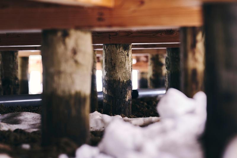 Press kit | 7919-01 - Press release | Né Wins Architecture + Environment by Public Vote at the Architizer A+Awards 2026 - Ahead of the Curve Inc. - Commercial Architecture - The interior under construction, timber columns rising from the earthen floor. - Photo credit: Hiroki Kawata