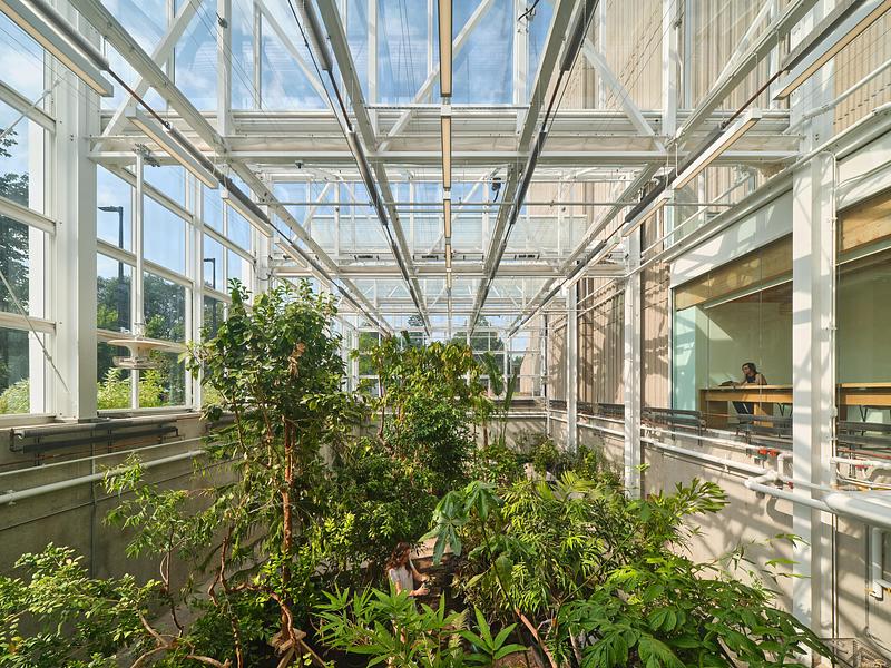 Press kit | 3405-06 - Press release | McMaster University Life Sciences Building and Greenhouse - Moriyama Teshima Architects - Institutional Architecture - Moriyama Teshima Architects – McMaster University Life Sciences Building and Greenhouse - Photo credit:  Riley Snelling 