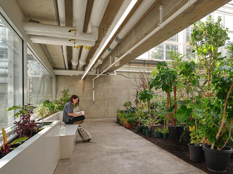 Press kit | 3405-06 - Press release | McMaster University Life Sciences Building and Greenhouse - Moriyama Teshima Architects - Institutional Architecture - Moriyama Teshima Architects – McMaster University Life Sciences Building and Greenhouse - Photo credit: Riley Snelling