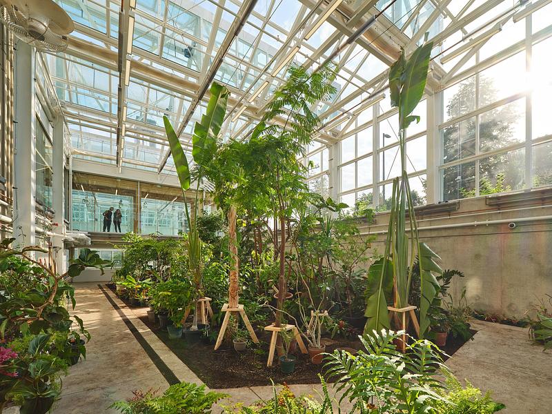 Press kit | 3405-06 - Press release | McMaster University Life Sciences Building and Greenhouse - Moriyama Teshima Architects - Institutional Architecture - Moriyama Teshima Architects – McMaster University Life Sciences Building and Greenhouse - Photo credit: Riley Snelling