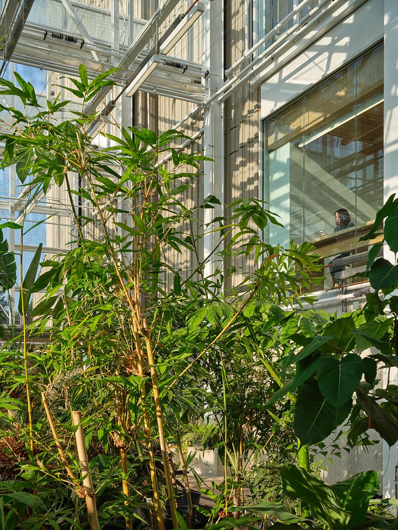 Press kit | 3405-06 - Press release | McMaster University Life Sciences Building and Greenhouse - Moriyama Teshima Architects - Institutional Architecture - Moriyama Teshima Architects – McMaster University Life Sciences Building and Greenhouse - Photo credit: Riley Snelling