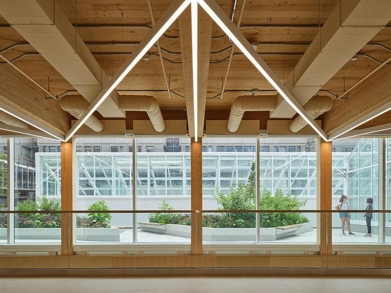Press kit | 3405-06 - Press release | McMaster University Life Sciences Building and Greenhouse - Moriyama Teshima Architects - Institutional Architecture - Moriyama Teshima Architects – McMaster University Life Sciences Building and Greenhouse - Photo credit: Riley Snelling