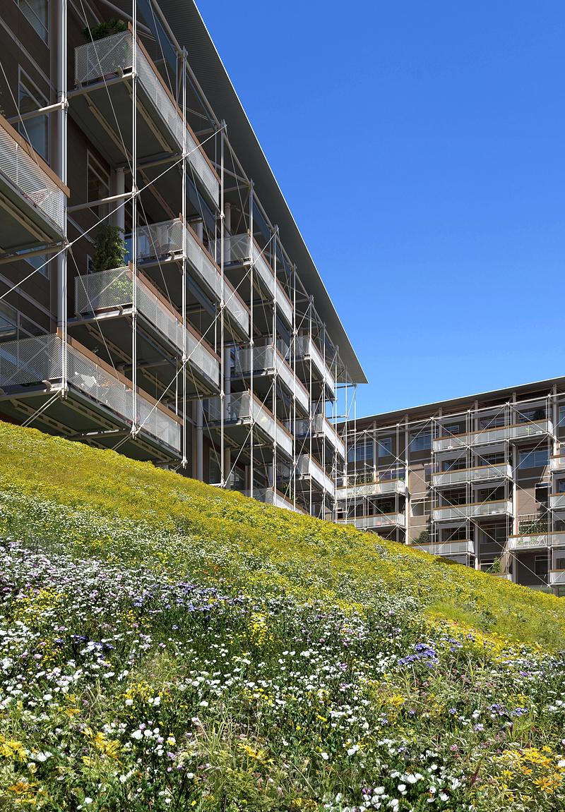 Dossier de presse | 2995-01 - Communiqué de presse | Une nouvelle étude de Perkins&Will offre une solution de logements en bois massif pour répondre à la crise du logement au Canada - Perkins&Will - Architecture résidentielle - Crédit photo : Aesthetica Studio avec l’aimable autorisation de Perkins&amp;Will