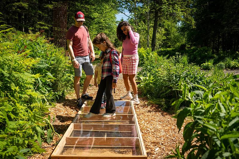 Press kit | 837-55 - Press release | The Creations Presented as Part of the 27th Edition of the International Garden Festival Evolve Throughout the Summer - International Garden Festival - Event + Exhibition - Pousses de son - Photo credit: Martin Bond