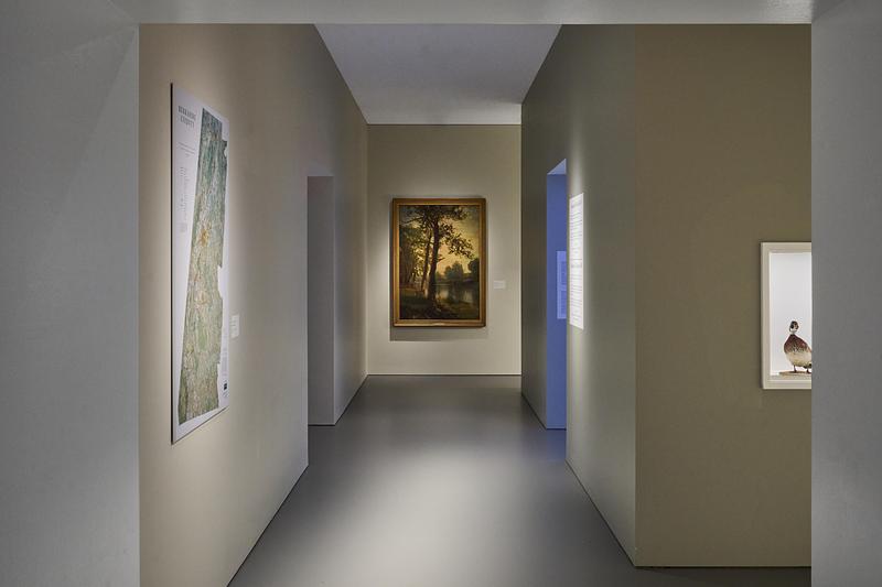 Dossier de presse | 2757-65 - Communiqué de presse | StudioHAU Completes Extensive Renovation and Redesign of the Berkshire Museum’s First Floor Galleries, Aquarium and Public Spaces - StudioHAU - Architecture institutionnelle - Additional view of the hallway leading to galleries 5 and 6.  - Crédit photo : Sam Cornwall