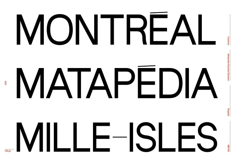 Dossier de presse | 748-55 - Communiqué de presse | Le Centre de design de l’UQAM présente ECAL Atlas Typographique - Centre de design de l'UQAM - Évènement + Exposition -  <p>Polices de caractères présentées dans l’exposition au Centre de design de l'UQAM à Montréal, issues de la sélection locale effectuée par Louise Paradis et le Collectif 1440, à partir d’un recensement de 600 typographies du Québec.</p>  - Crédit photo :  Louise Paradis et le Collectif 1440, École de design de l'UQAM 