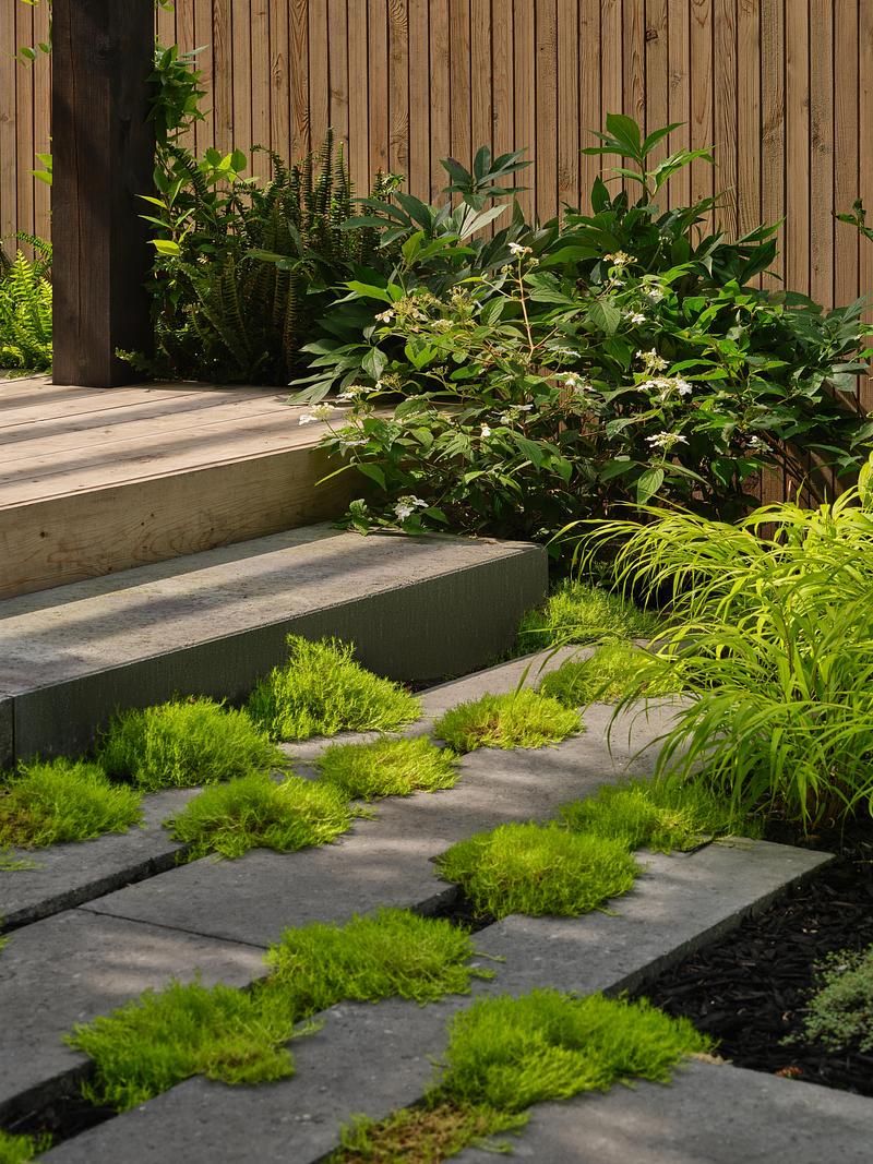 Press kit | 7516-04 - Press release | The Urban Garden I - Reign Architects - Landscape Architecture - Photo credit: Rilley Snelling