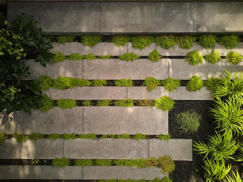 Press kit | 7516-04 - Press release | The Urban Garden I - Reign Architects - Landscape Architecture - Photo credit: Rilley Snelling