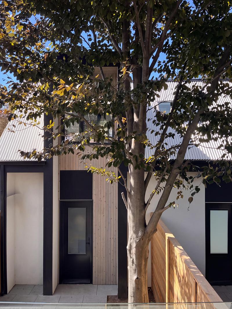 Dossier de presse | 2344-04 - Communiqué de presse | Three Homes on One Toronto Lot Create Room to Stay - baukultur/ca - Architecture résidentielle - Laneway home courtyard entrance framed by cedar cladding and a mature beech tree. - Crédit photo : baukultur/ca