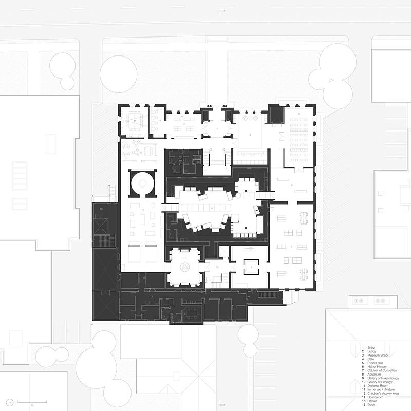 Press kit | 2757-65 - Press release | StudioHAU Completes Extensive Renovation and Redesign of the Berkshire Museum’s First Floor Galleries, Aquarium and Public Spaces - StudioHAU - Institutional Architecture - Berkshire Museum Plan - Photo credit: StudioHAU