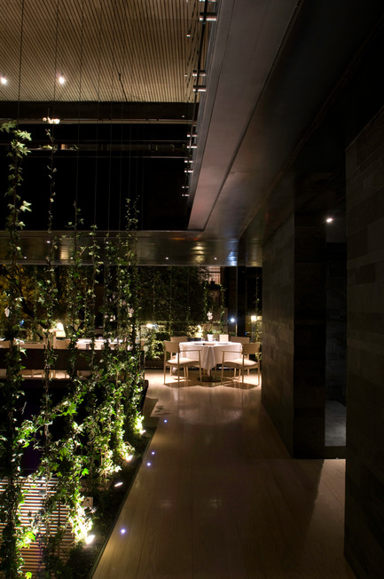 Press kit | 815-01 - Press release | OCA Restaurant - Entasis Architects - Commercial Architecture - Photo credit: Jaime Navarro