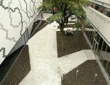 Press kit | 558-03 - Press release | Expansion of Centre sportif J.-C. Malépart - Saia Barbarese Topouzanov Architectes - Institutional Architecture - Photo credit: Frederic Saia