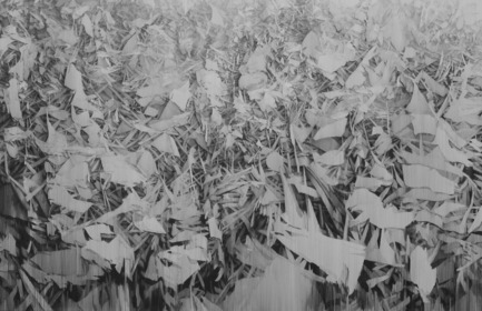 Dossier de presse | 1134-01 - Communiqué de presse | Papier14 - Foire d’art contemporain d’œuvres sur papier - L’Association des galeries d’art contemporain (AGAC) - Évènement + Exposition - Kelly Wallace In Irons, 2013Lead, paper, panel, 86.4 x 139 x 7 cmGeorgia Scherman Projects (Toronto) - Kiosque #210