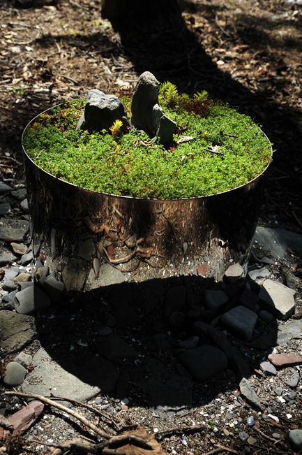 Press kit | 837-06 - Press release | The International Garden Festival PresentsTiny Taxonomy at Chelsea Fringe in London - International Garden Festival / Reford Gardens - Event + Exhibition - 







Sylvain Legris - Photo credit: 







Sylvain Legris