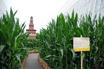 Press kit | 1175-01 - Press release | A pop-up field in the centre of the city - A4A Rivolta Savioni Architetti - Landscape Architecture - quantomais, ExpoGate - Photo credit: Francesco Gusella