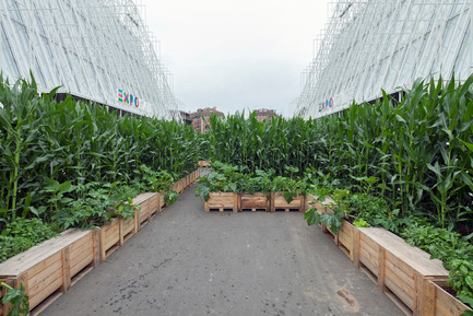 Press kit | 1175-01 - Press release | A pop-up field in the centre of the city - A4A Rivolta Savioni Architetti - Landscape Architecture - quantomais, ExpoGate - Photo credit: Ugo Dalla Porta