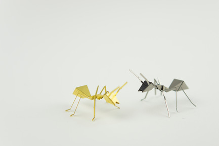 Press kit | 1196-01 - Press release | Poligon Launches on Kickstarter  - Poligon - Product - Ants - Photo credit:   	 		 		 	 	 		 			 				 					 						Poligon<br> 	 
