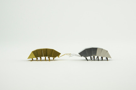 Press kit | 1196-01 - Press release | Poligon Launches on Kickstarter  - Poligon - Product - Woodlouse - Photo credit:   	 		 		 	 	 		 			 				 					 						Poligon<br> 	 