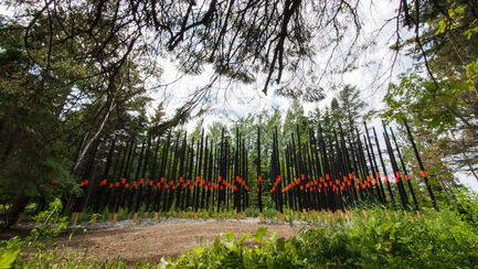 Press kit | 837-09 - Press release | Call for proposals - International Garden Festival 2015 - International Garden Festival / Reford Gardens - Landscape Architecture - Afterburn by Civilian Projects, Brooklyn, New York, United States - Photo credit: Louise Tanguay