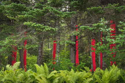 Press kit | 837-09 - Press release | Call for proposals - International Garden Festival 2015 - International Garden Festival / Reford Gardens - Landscape Architecture -  Pink Punch by Nicholas Croft &amp; Michaela MacLeod, New York, United States  - Photo credit: Louise Tanguay