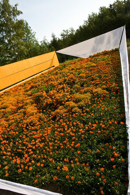 Press kit | 837-09 - Press release | Call for proposals - International Garden Festival 2015 - International Garden Festival / Reford Gardens - Landscape Architecture - Orange Secret by Nomad Studio, New York, United States - Photo credit: Marjelaine Sylvestre