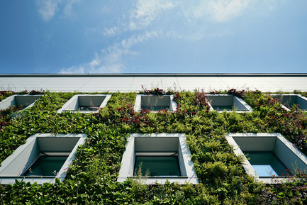 Press kit | 1139-03 - Press release | Foundation for Polish Science Headquarters - FAAB Architektura - Commercial Architecture - Front elevation detail of green wall and&nbsp;window rhythm<br> - Photo credit: Bartłomiej Senkowski © FAAB Architektura