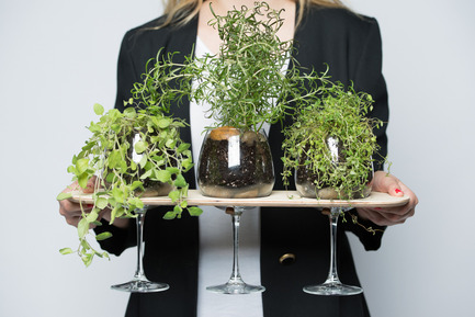 Press kit | 884-04 - Press release | HEC Project 2014 Edition - Faculté d'aménagement de l'Université de Montréal - Industrial Design - Aromate<br><br>Aromate rethinks the experience of seasonning your meals by bringing the fine herbs to the table. Aromate will give to your dinners a pleasant and laid back atmosphere, while preserving your plants.<br><br>Bianca Lachance<br>Grégoire Lortie<br>Danielle Marie Houdelot Viaud<br> - Photo credit: Olivier Ouimet 2014 - www.olivierouimet.com