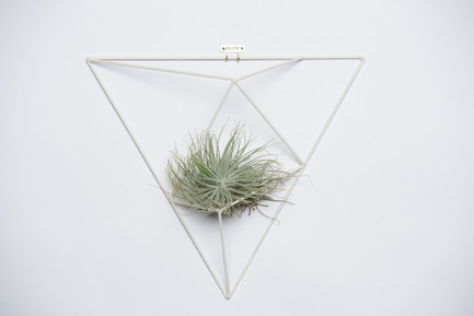 Press kit | 884-04 - Press release | HEC Project 2014 Edition - Faculté d'aménagement de l'Université de Montréal - Industrial Design - Geode<br><br>Geode is a minimalist wall stand created to support Tillandsia (Airplant). Its simplicity enhance the look of the plant without compromising its beauty.<br><br>Jessica Chicoine<br>Élizabeth Dalpé<br>Amélie Rheault<br> - Photo credit: Olivier Ouimet 2014 - www.olivierouimet.com